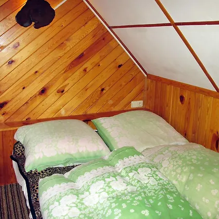Holiday home Ferienhaus Pelhrimov